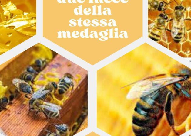 Veleno delle api: due facce della stessa medaglia